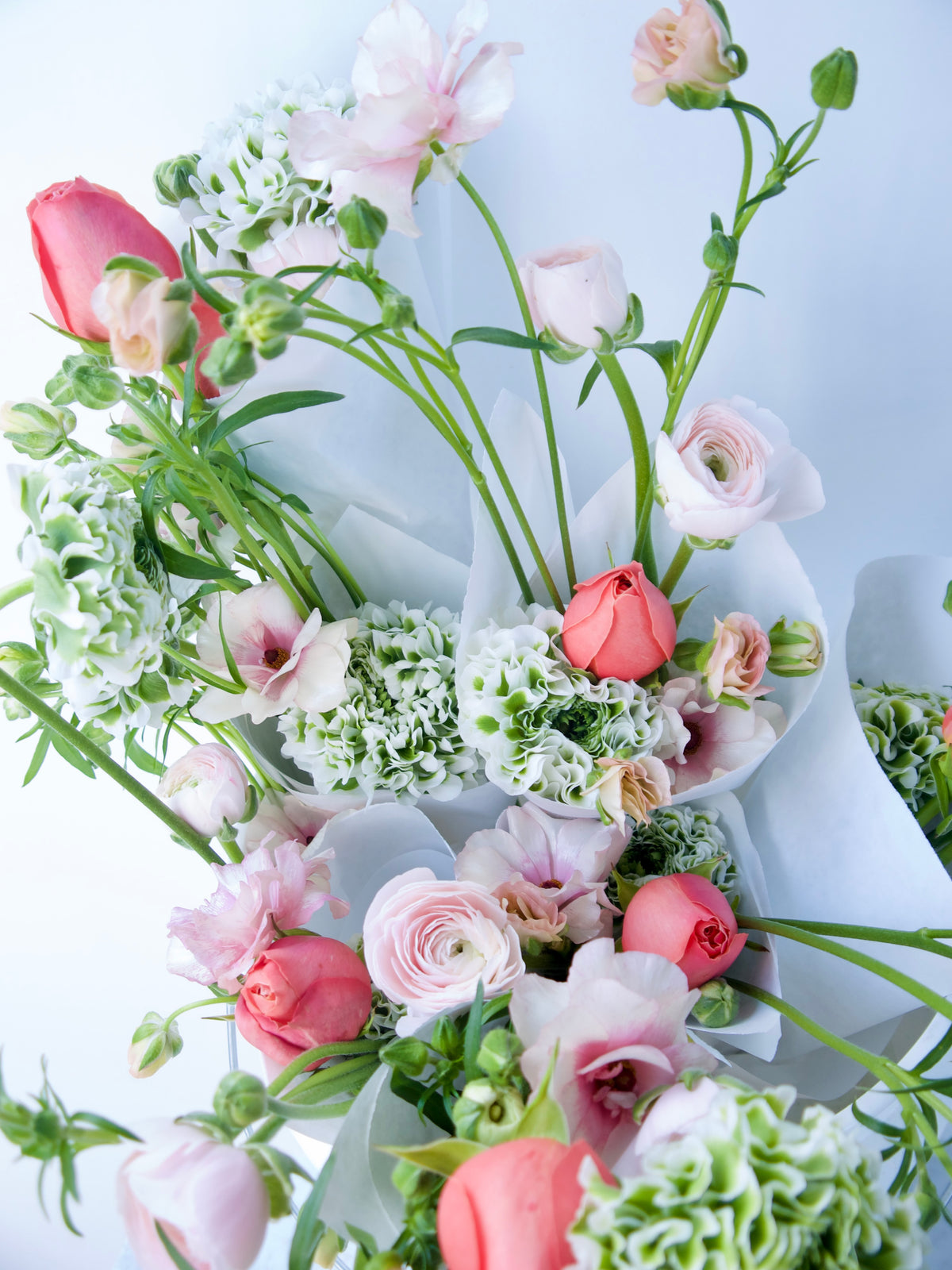 WRAPPED FLOWERS. NO VASE.