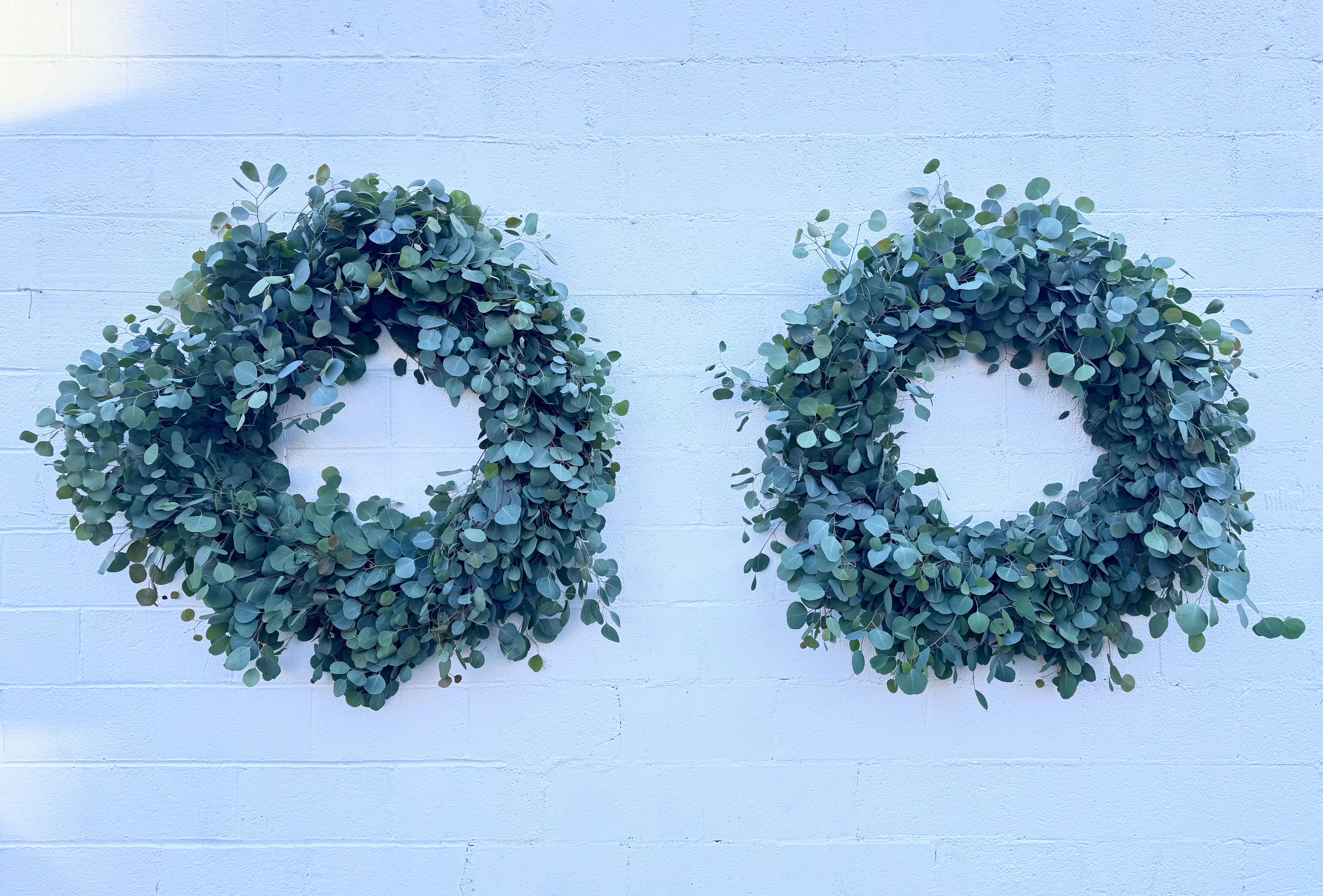 EUCALYPTUS WREATH