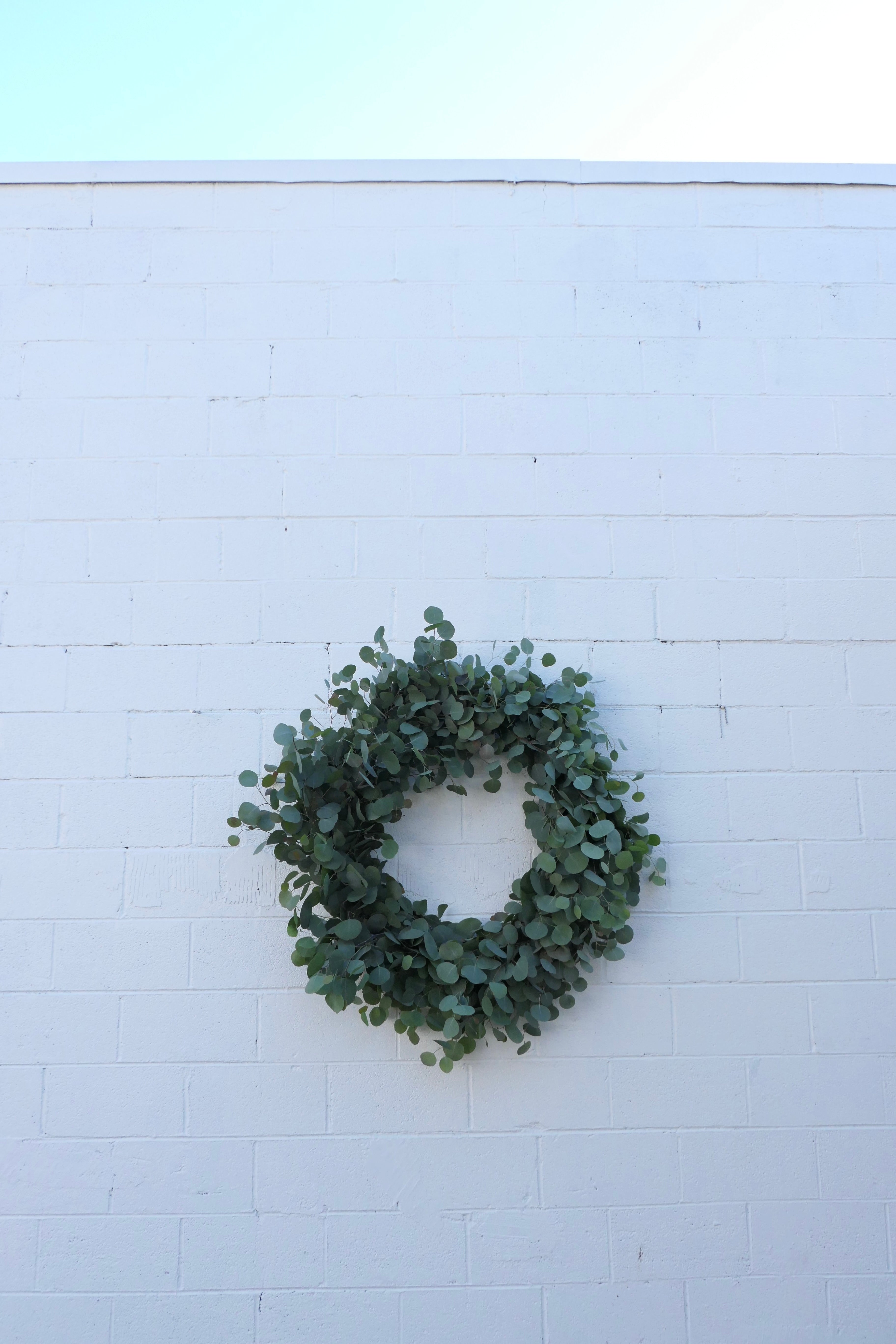 EUCALYPTUS WREATH