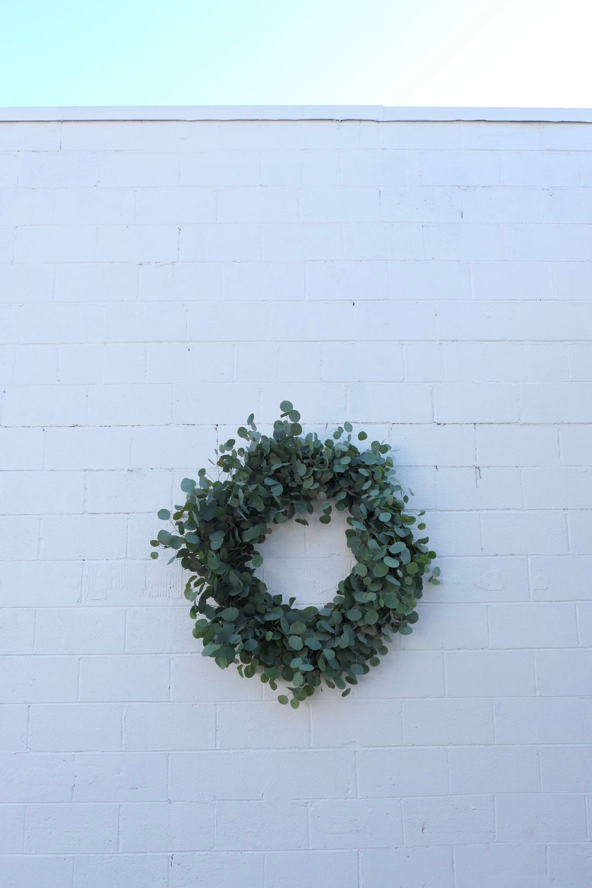 EUCALYPTUS WREATH