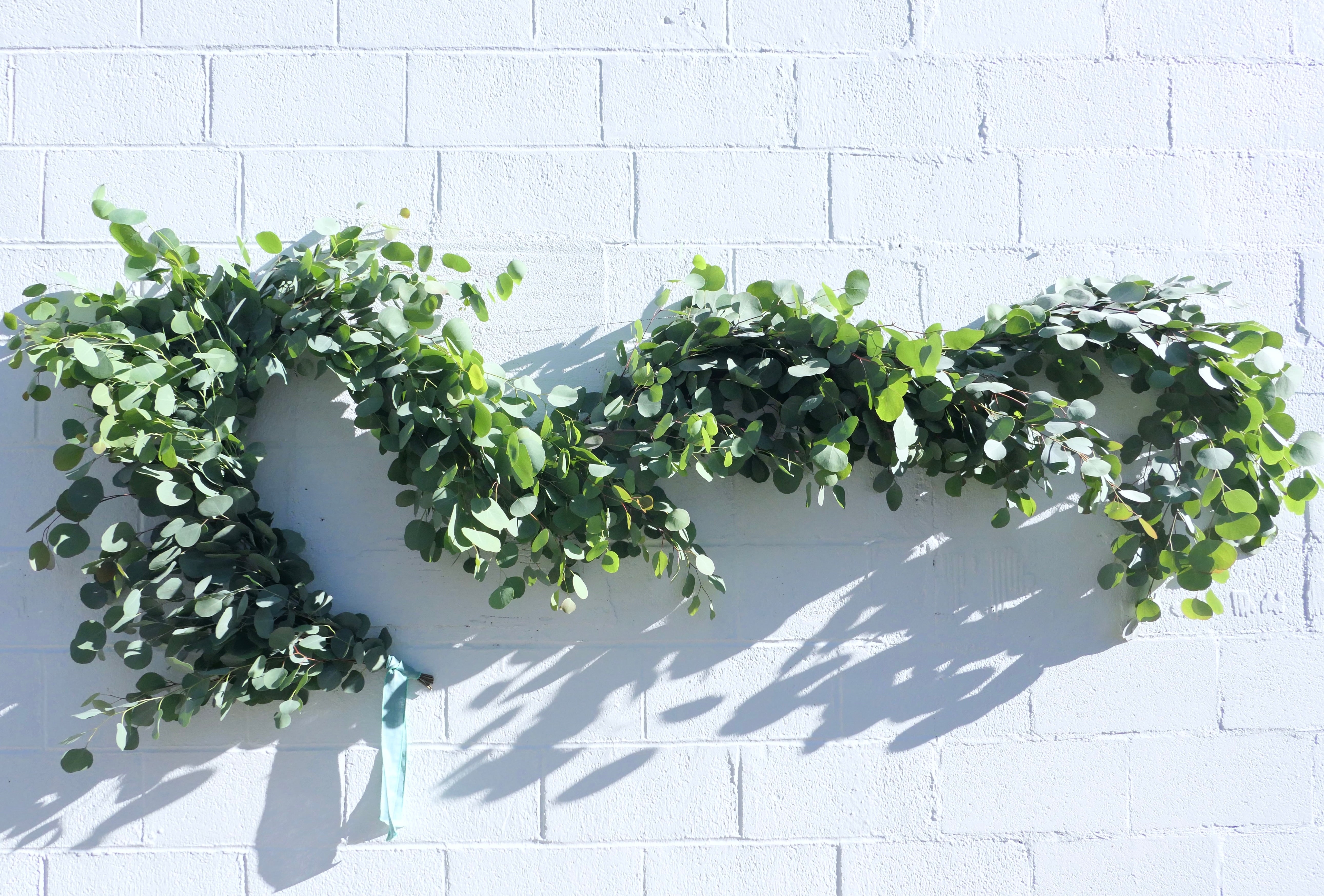 EUCALYPTUS GARLAND
