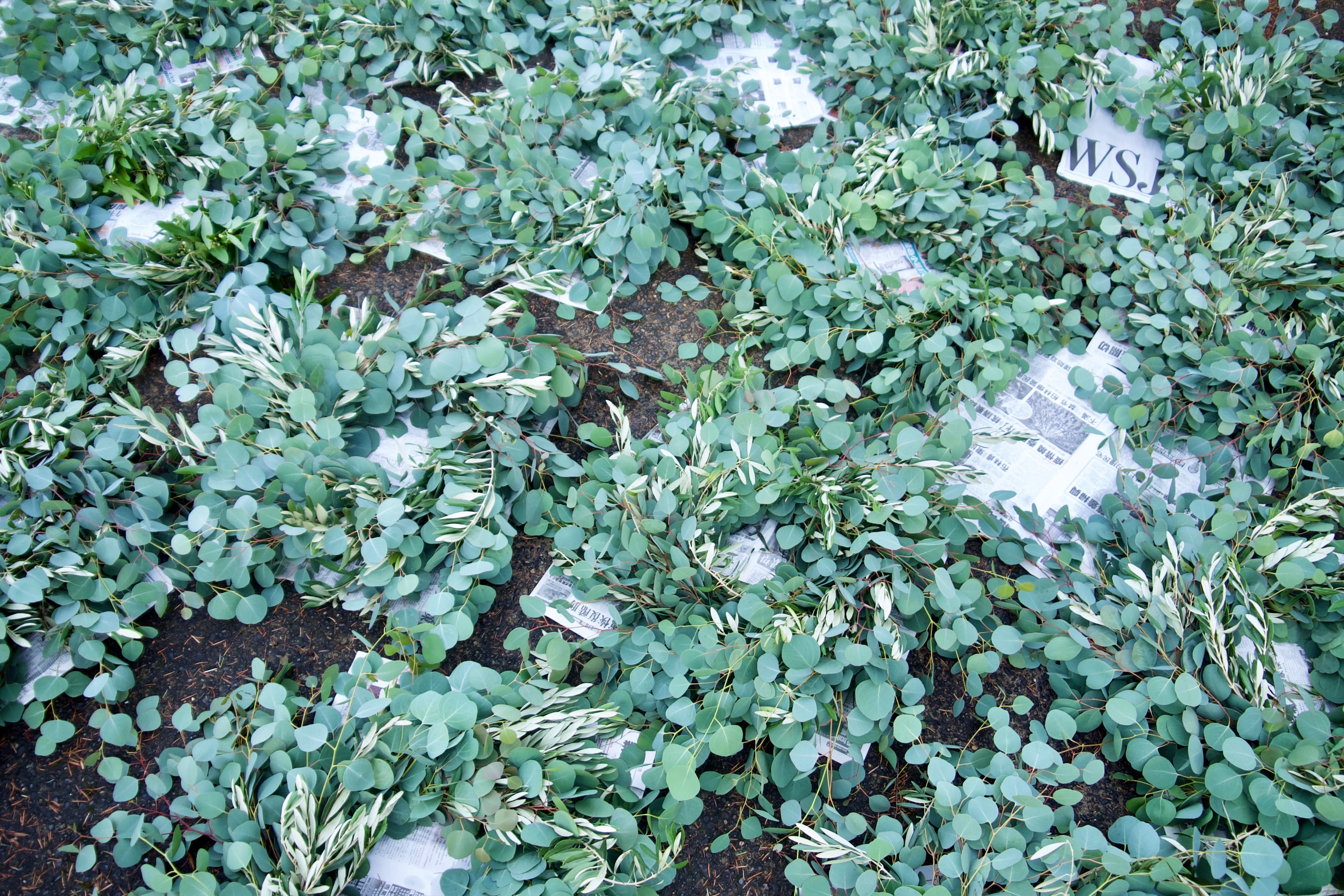 EUCALYPTUS WREATH