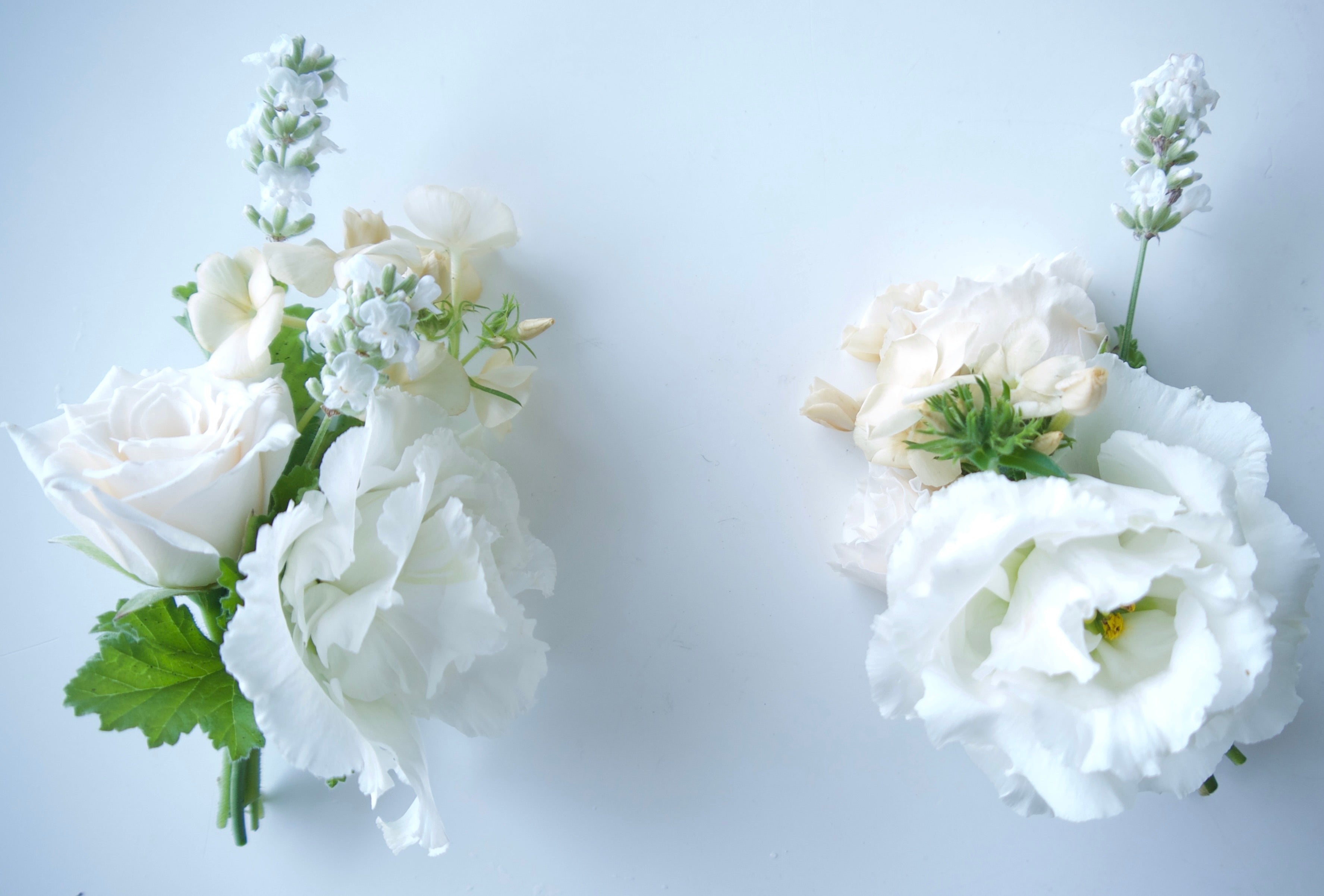 KISSES (BOUTONNIERES)