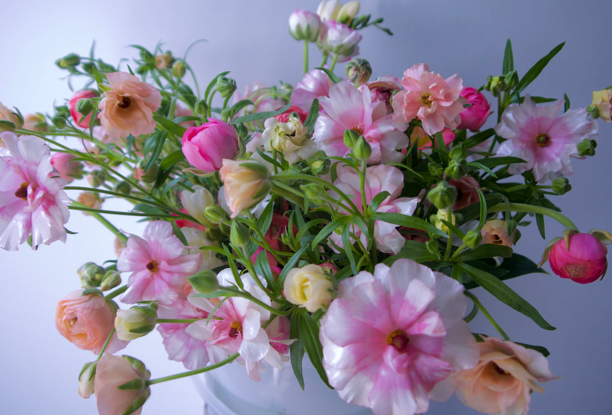 WRAPPED FLOWERS. NO VASE.