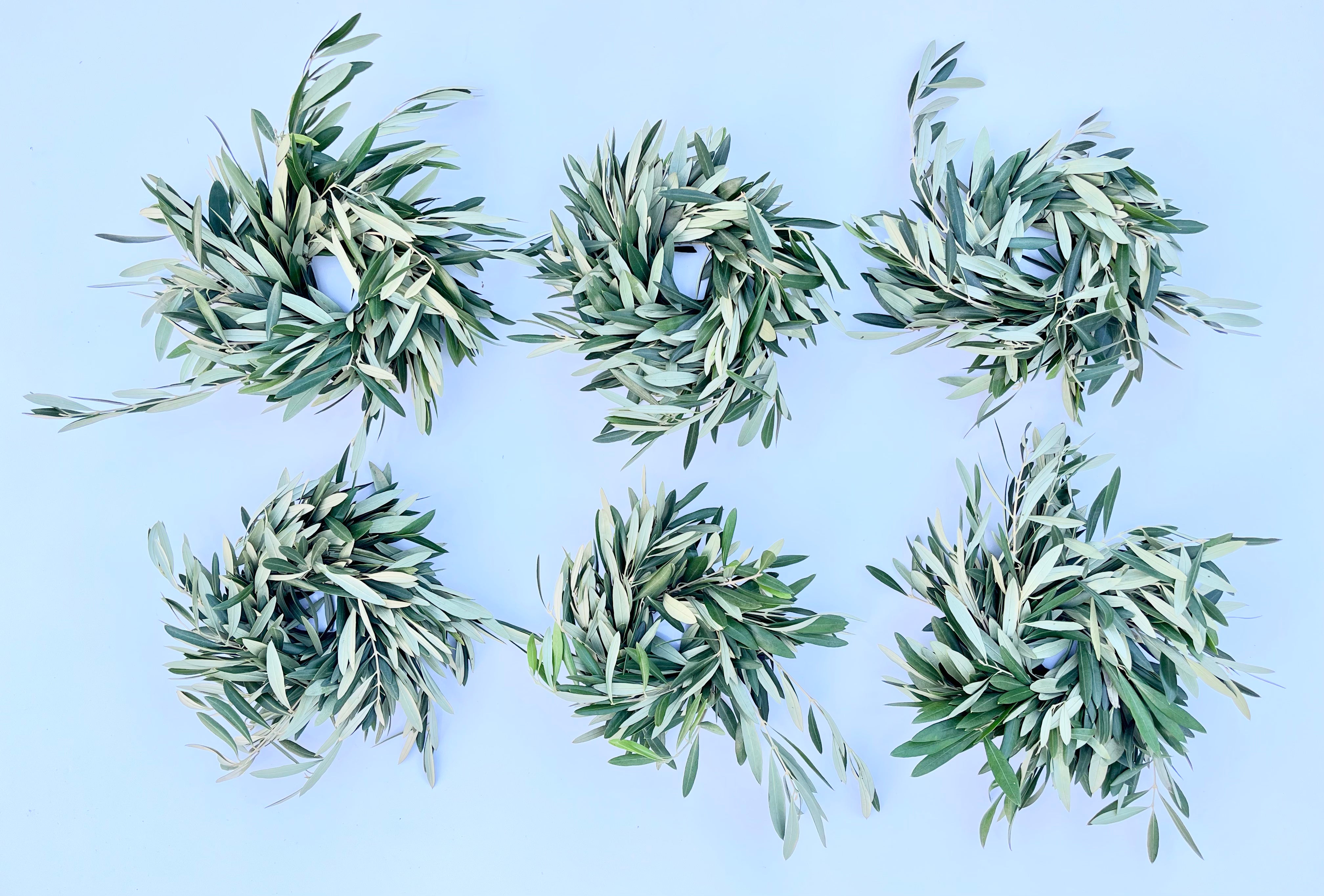 OLIVE WREATH