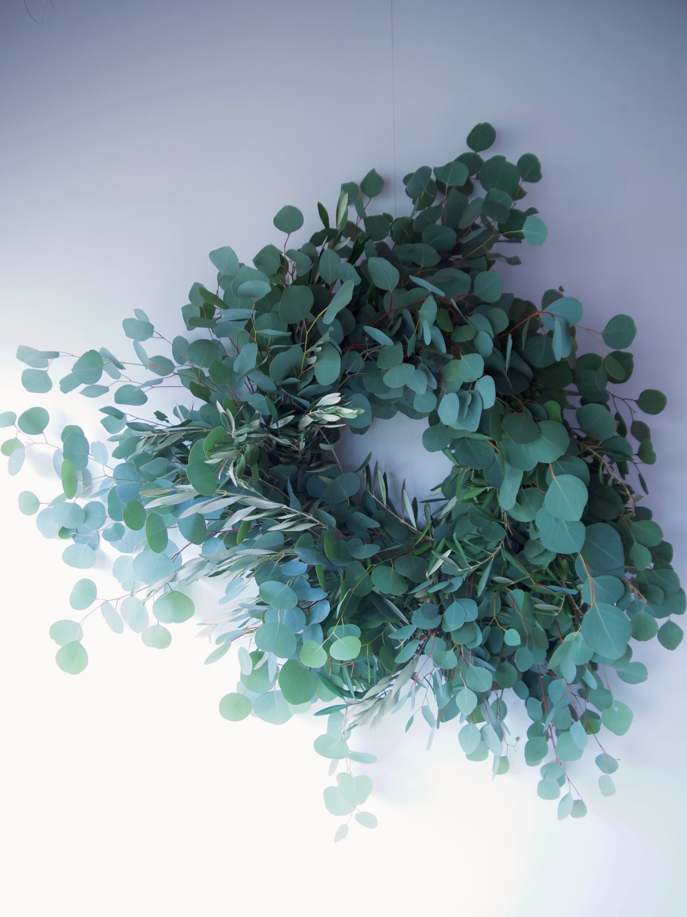 EUCALYPTUS WREATH