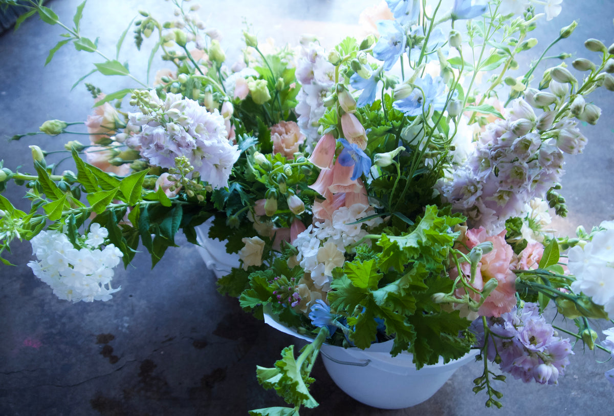 WRAPPED FLOWERS. NO VASE.