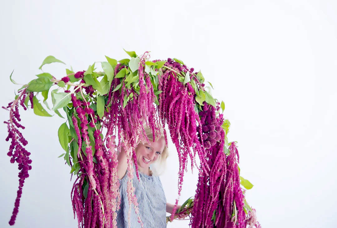 AMARANTH GARLAND