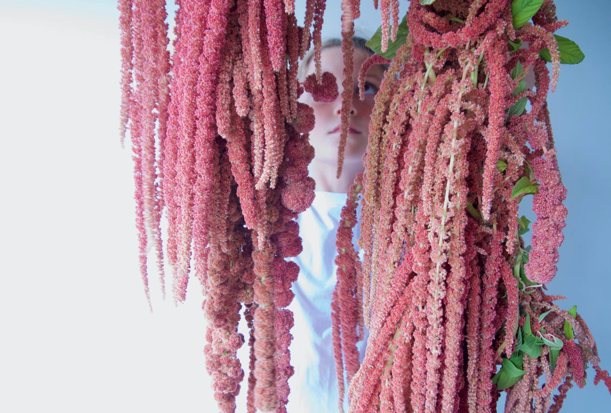 Hanging Amaranth Garland. Wedding Florist.