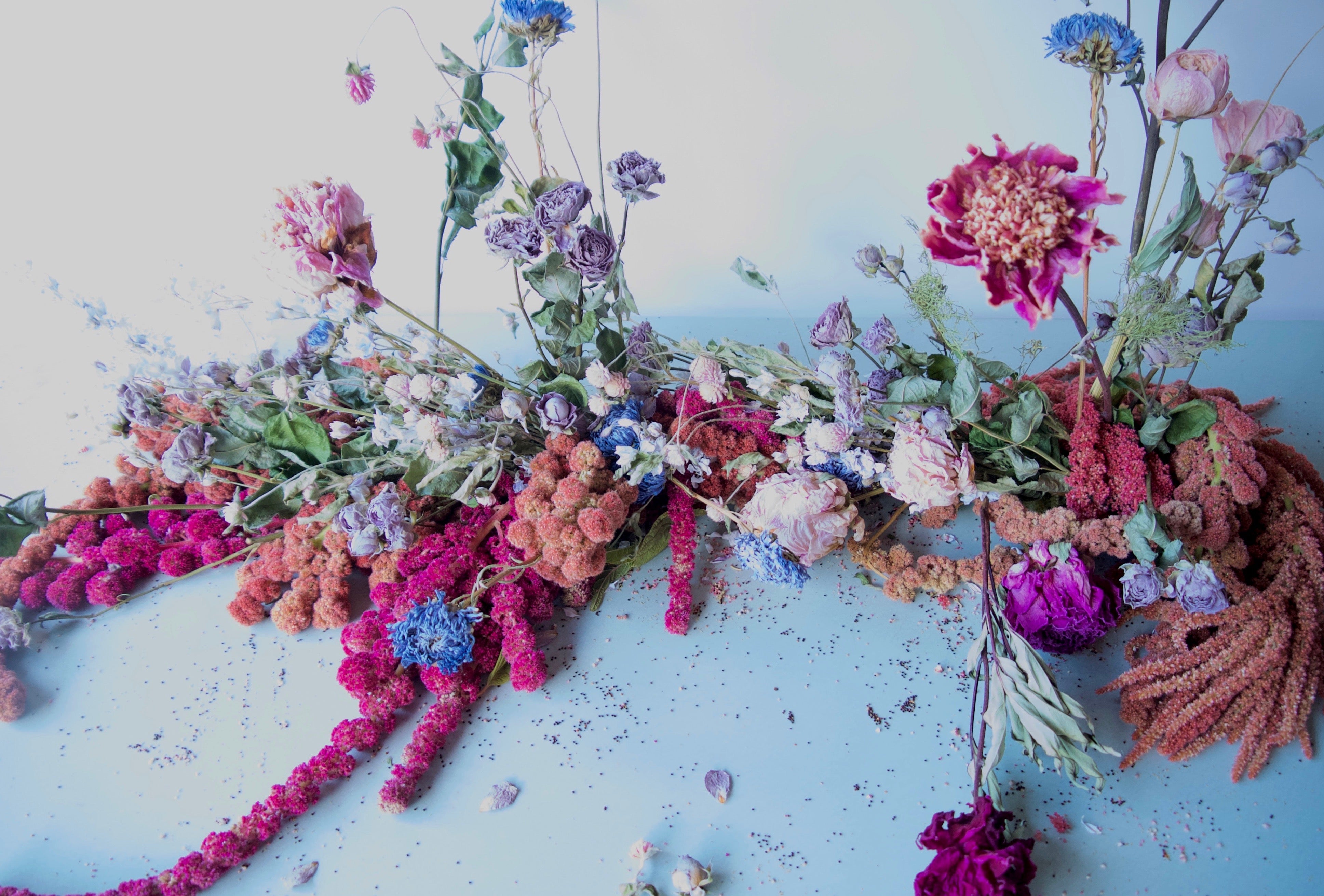 DRIED FLORAL GARLAND