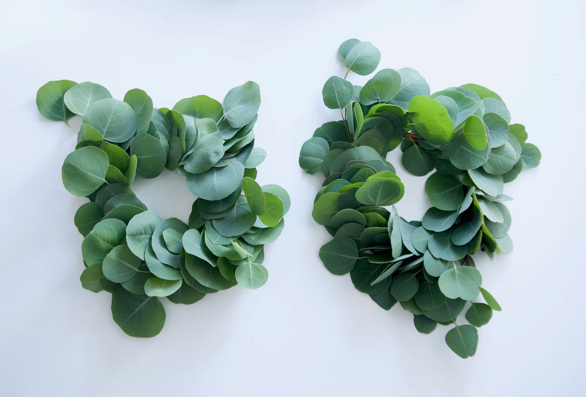TWO SM. EUC WREATHS