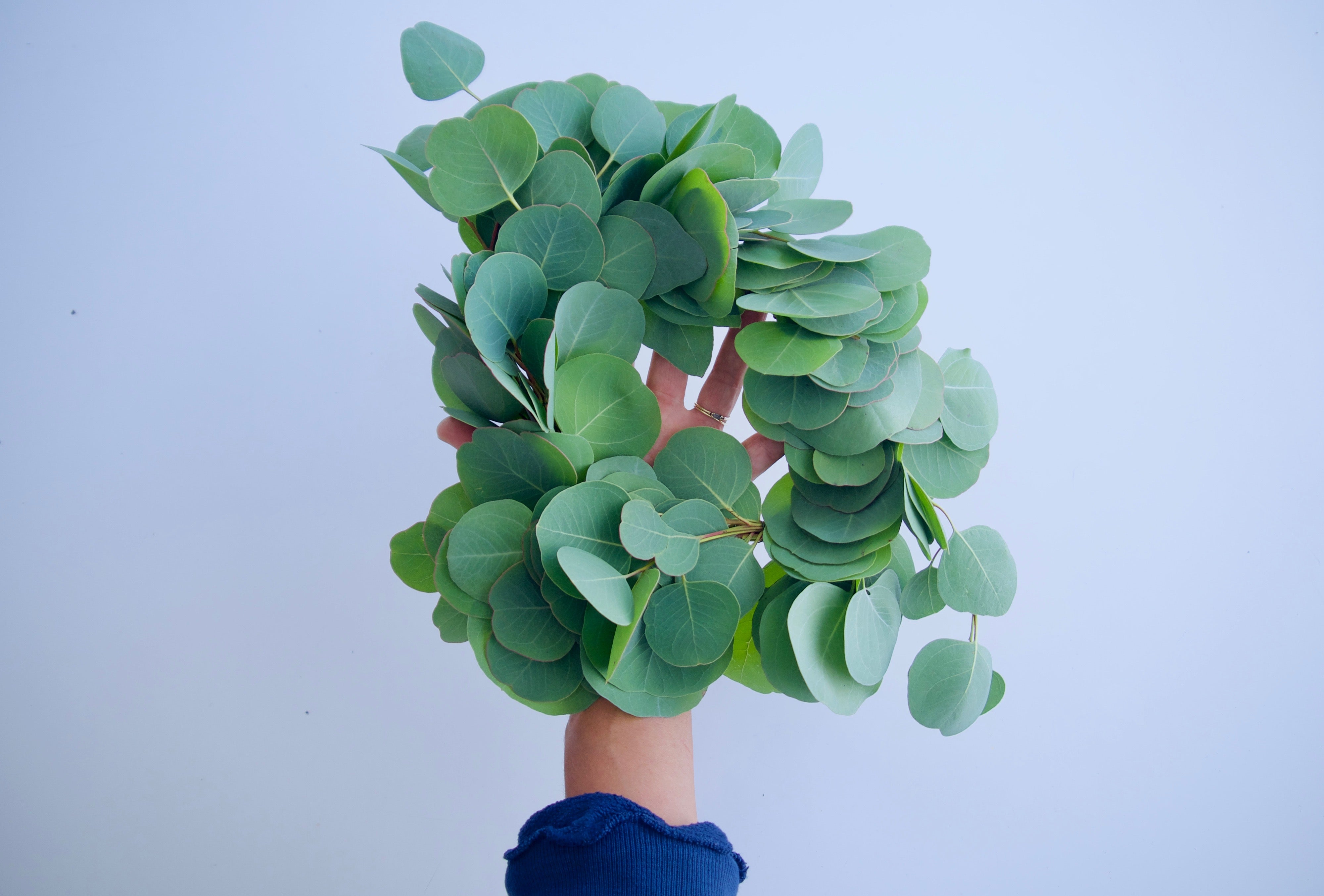 ONE SM. EUC WREATH