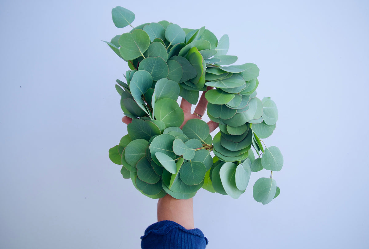 ONE SM. EUC WREATH