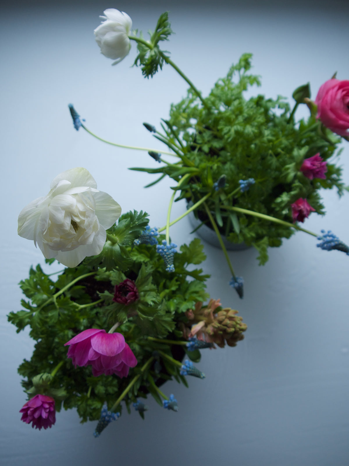 SPRINGTIME PLANTER