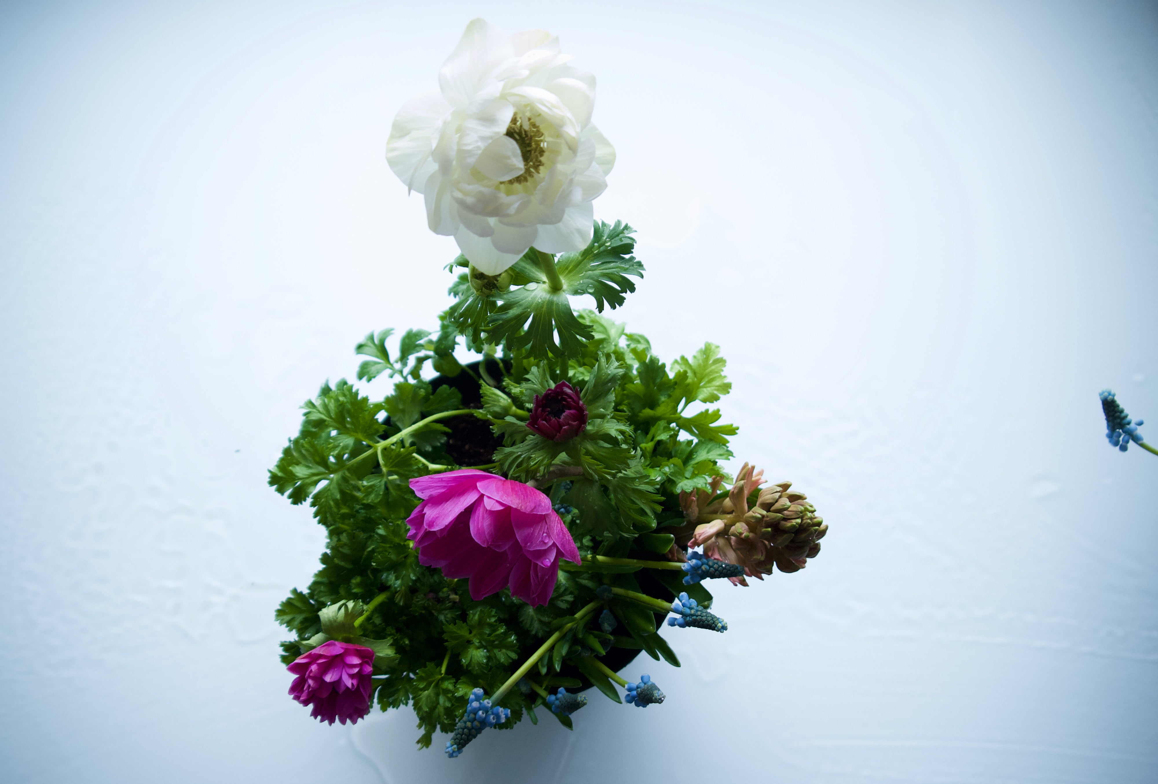 SPRINGTIME PLANTER