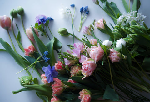 BUTTERFLY RANUNCULUS / PER BUNCH