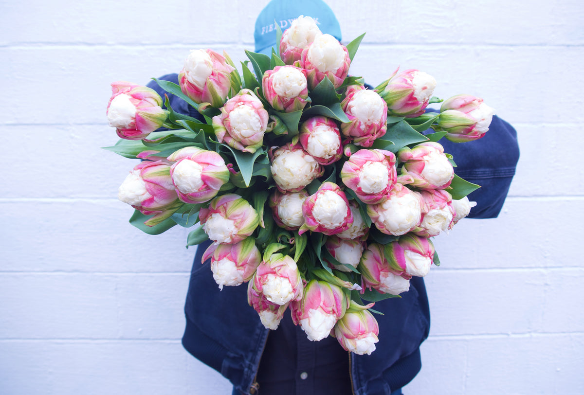 Tulips. Fieldwork-style Flowers | Send Flowers Vancouver WA., Portland, OR., Nationwide.