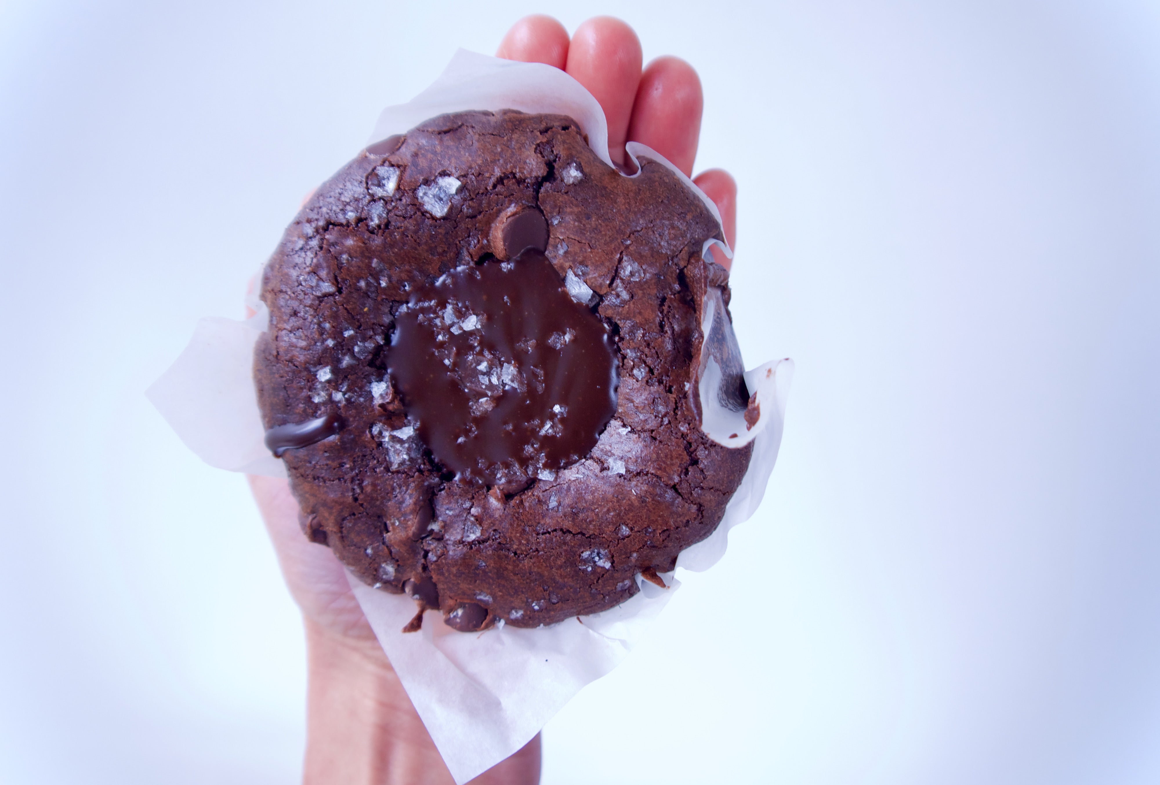 Chocolate Ganache Brownie