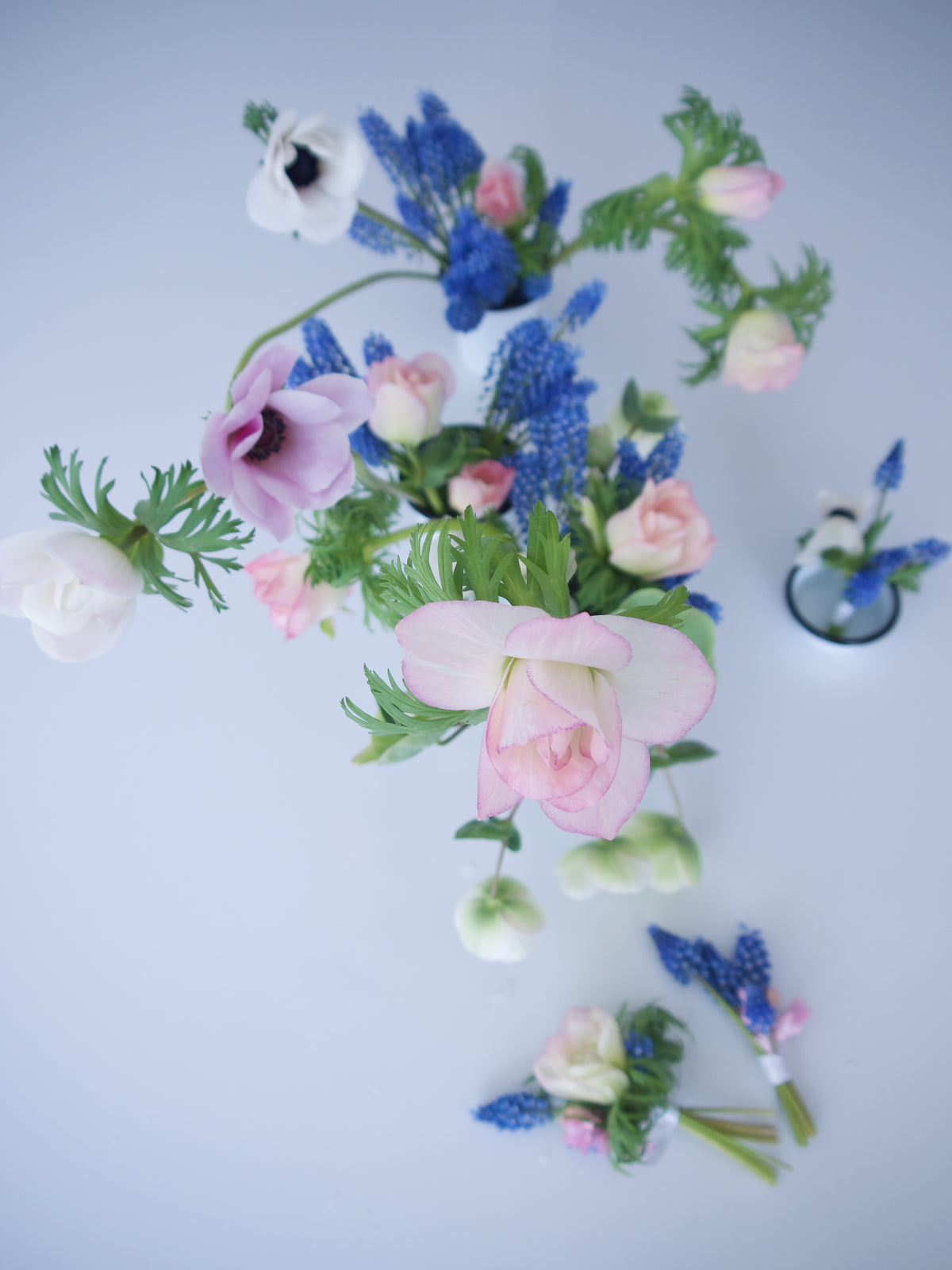 ANEMONES / PER BUNCH