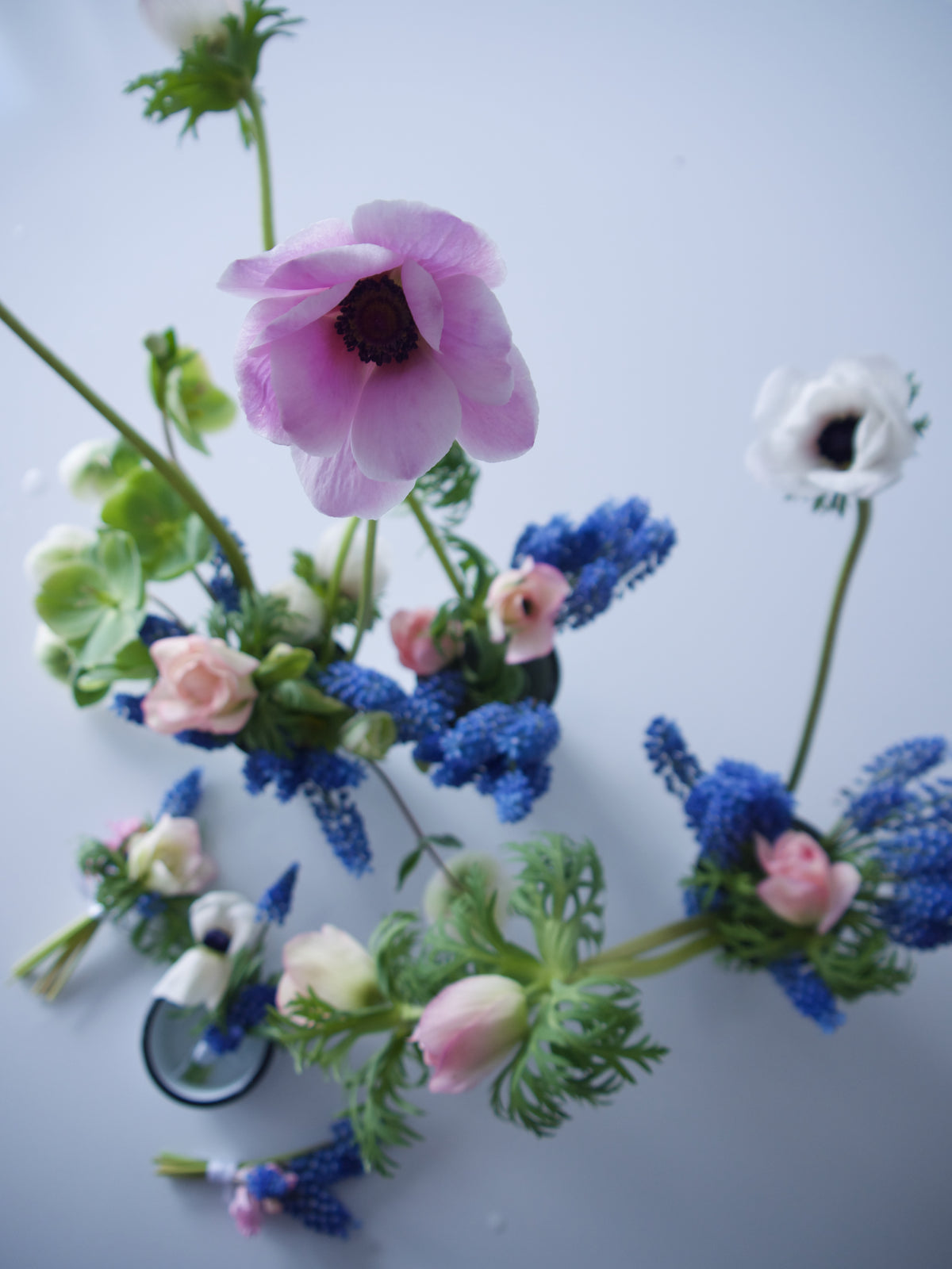 ANEMONES / PER BUNCH