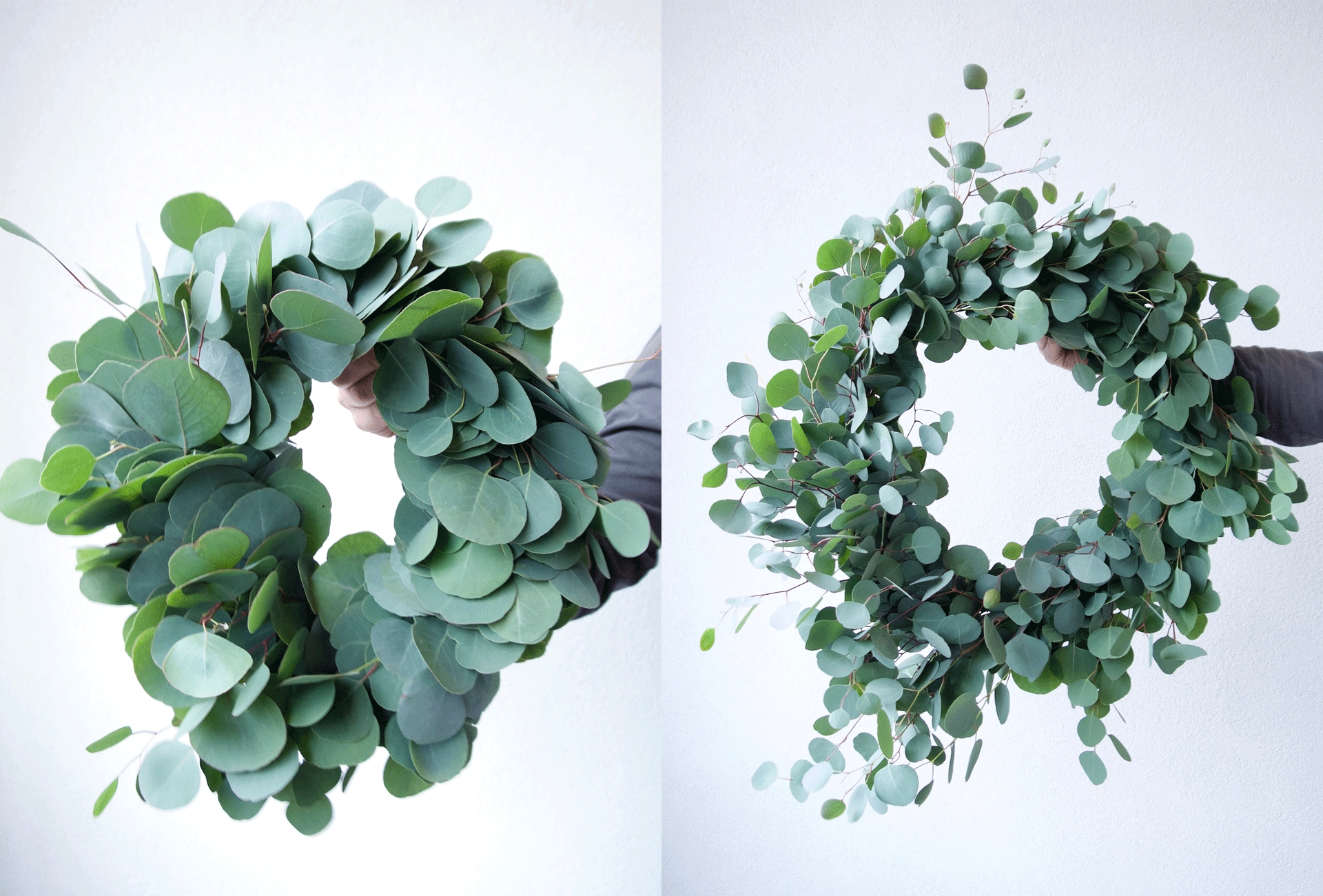EUCALYPTUS WREATH