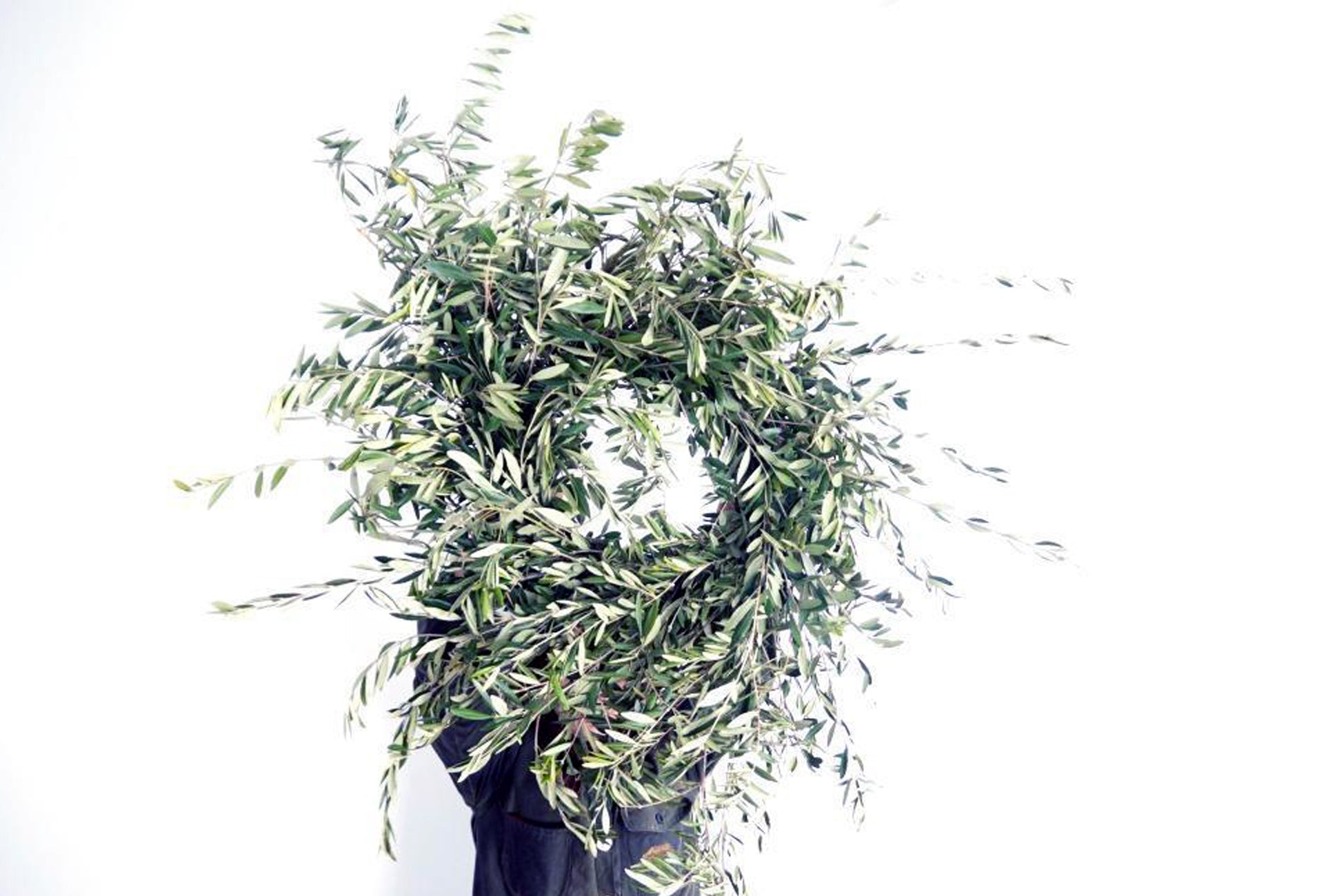 OLIVE WREATH
