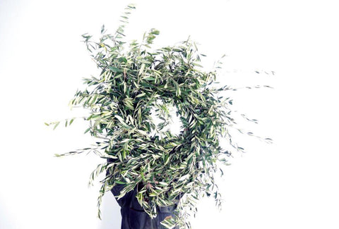 EUCALYPTUS WREATH