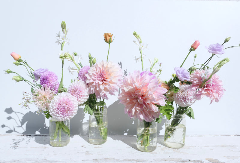September Flowers