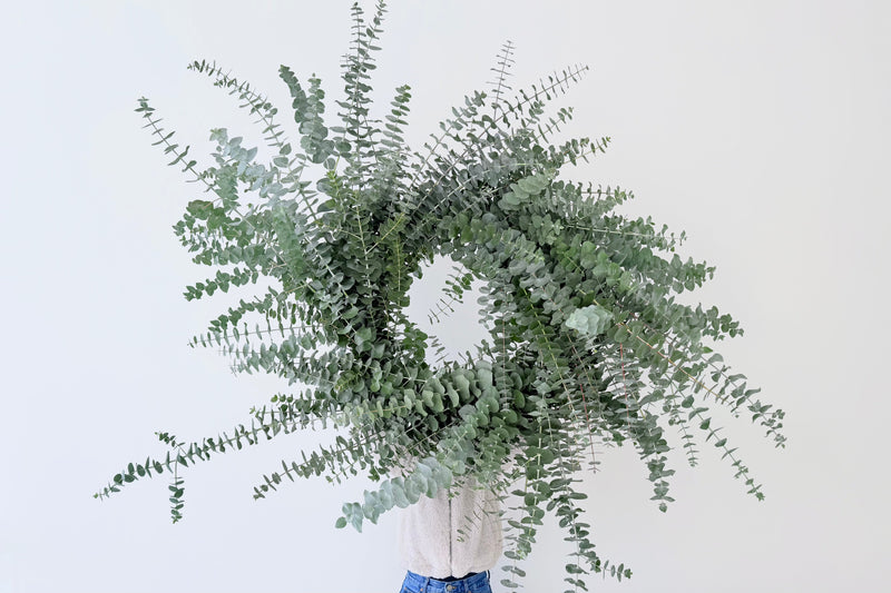 Eucalyptus Wreaths & Workshops