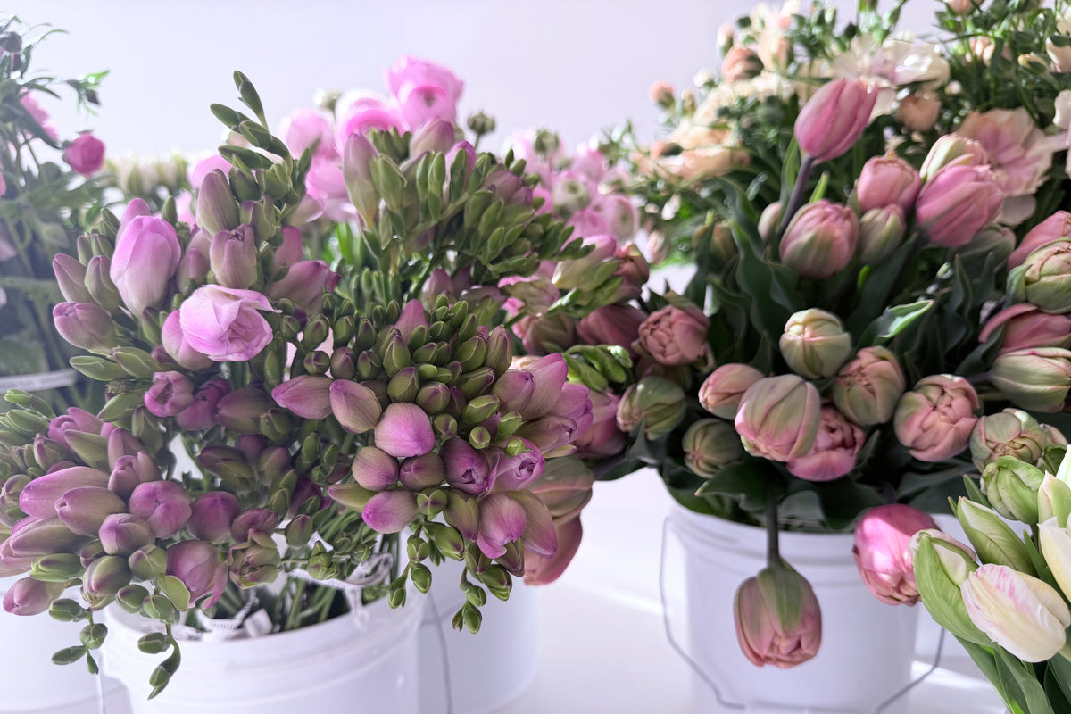 Walk-in Flower Shop