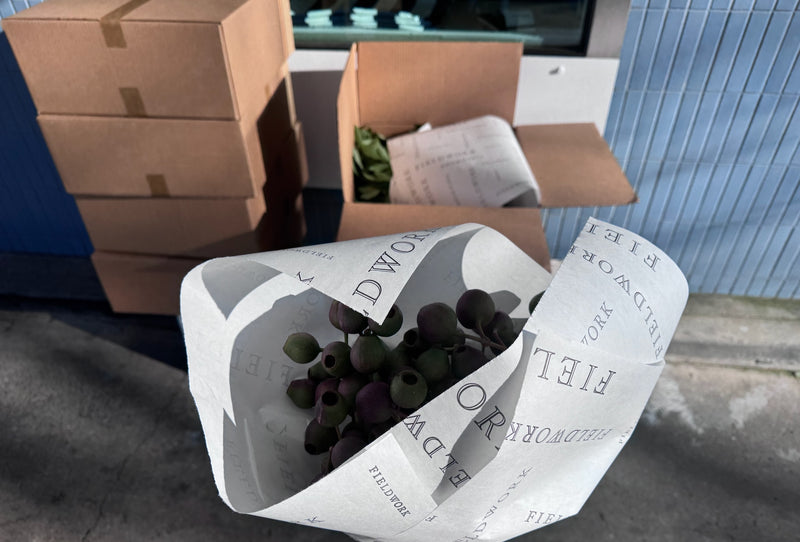 Wreath Kits Nationwide