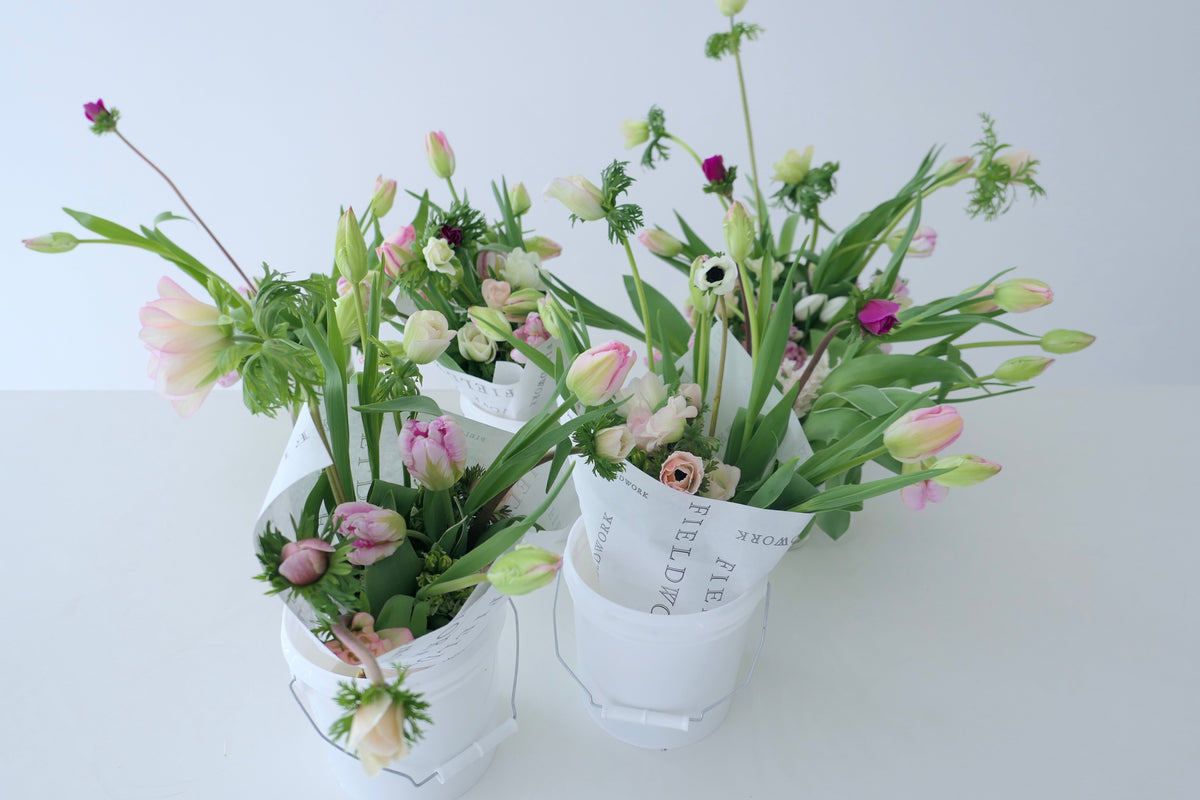 FEB FLOWERS PT. TWO