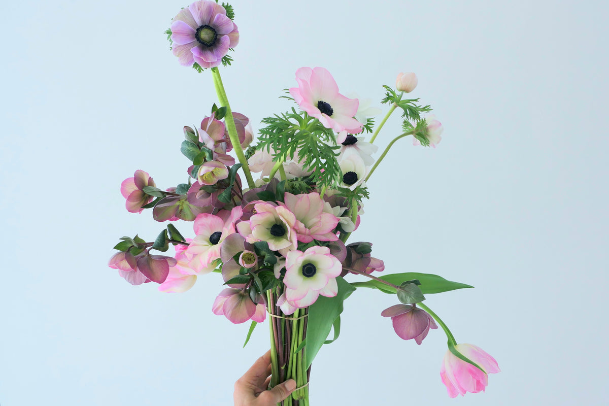FEB FLOWERS PT. THREE