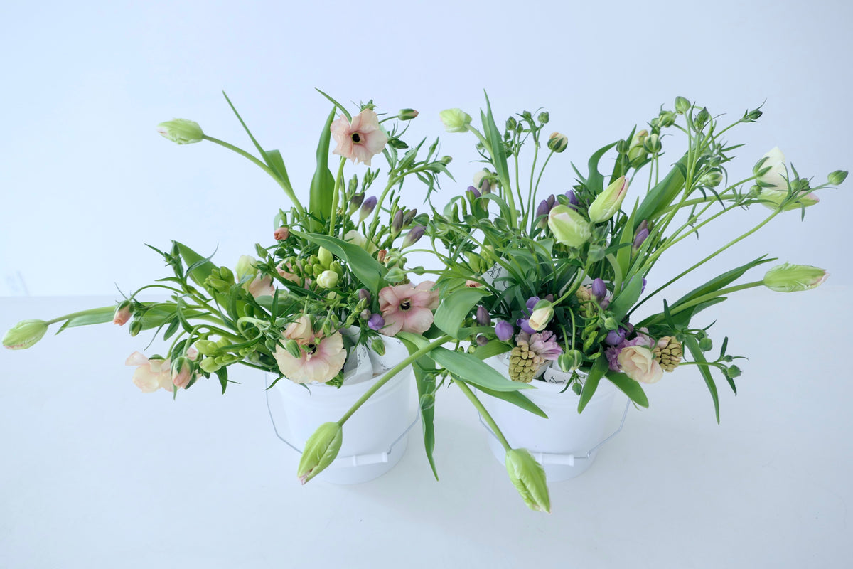 MARCH FLOWERS