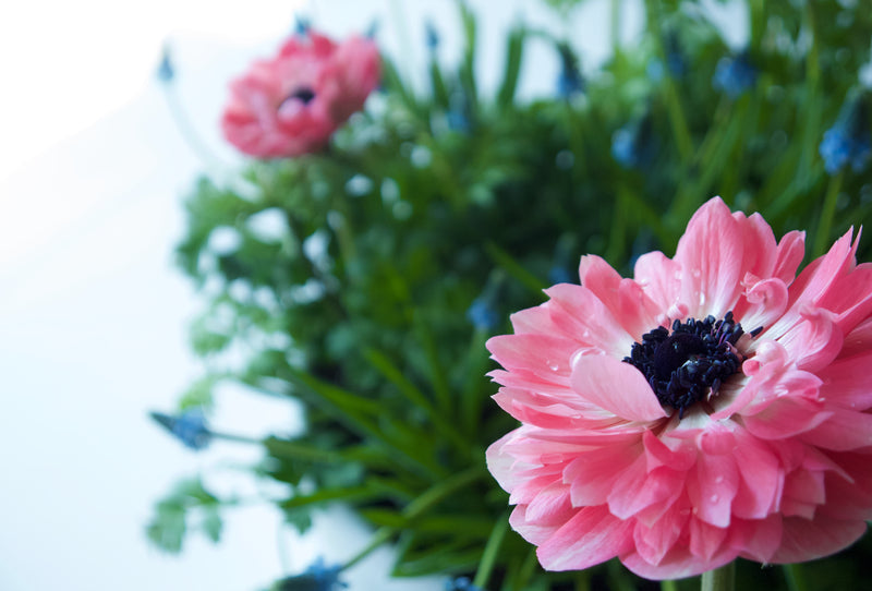 Springtime Planters