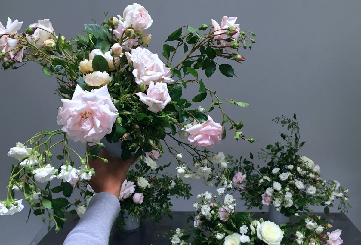 GARDEN ROSES / PER BUNCH