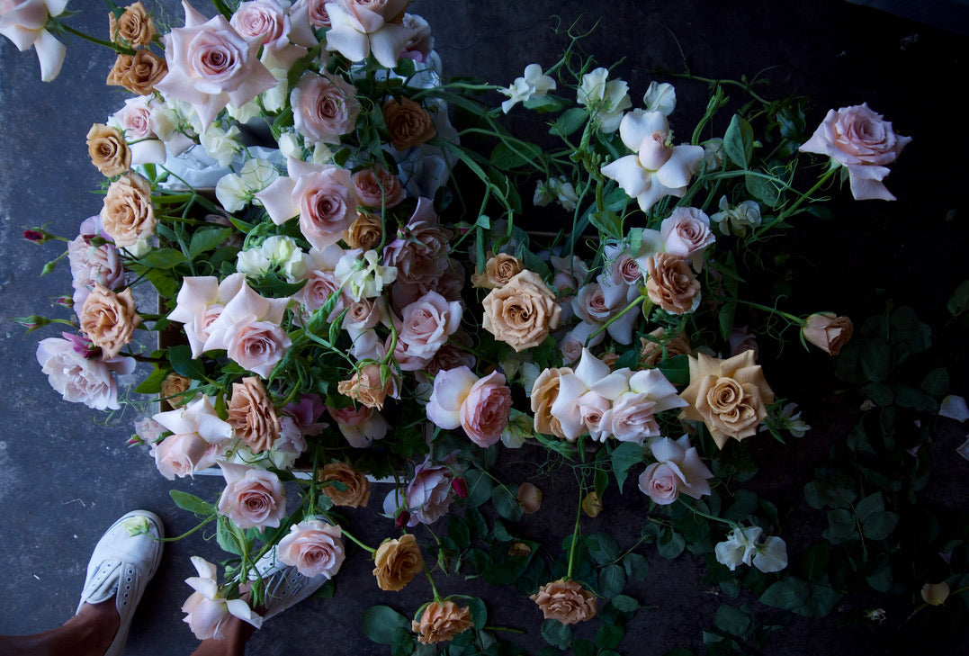 GARDEN ROSES / PER BUNCH