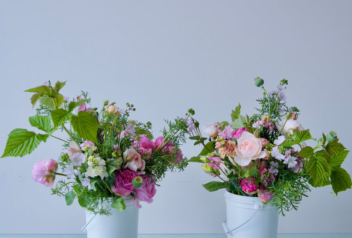 WRAPPED FLOWERS. NO VASE.