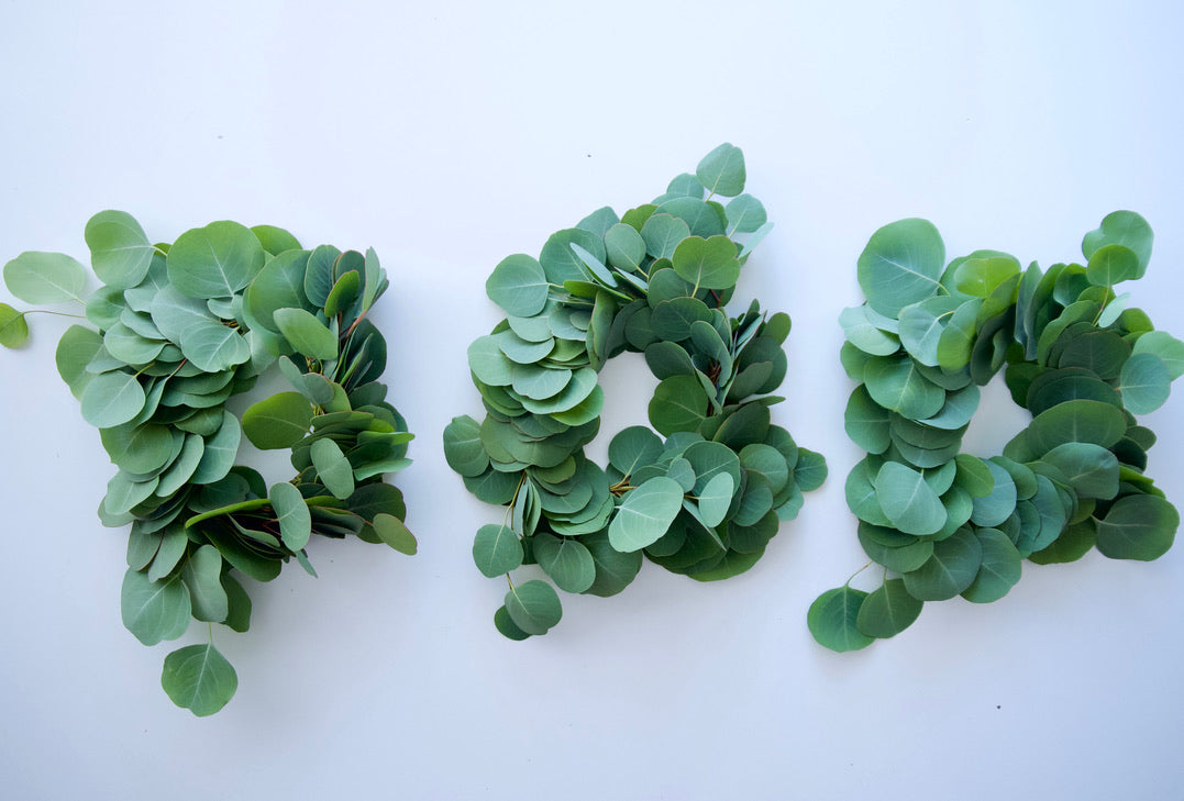 WREATH KIT