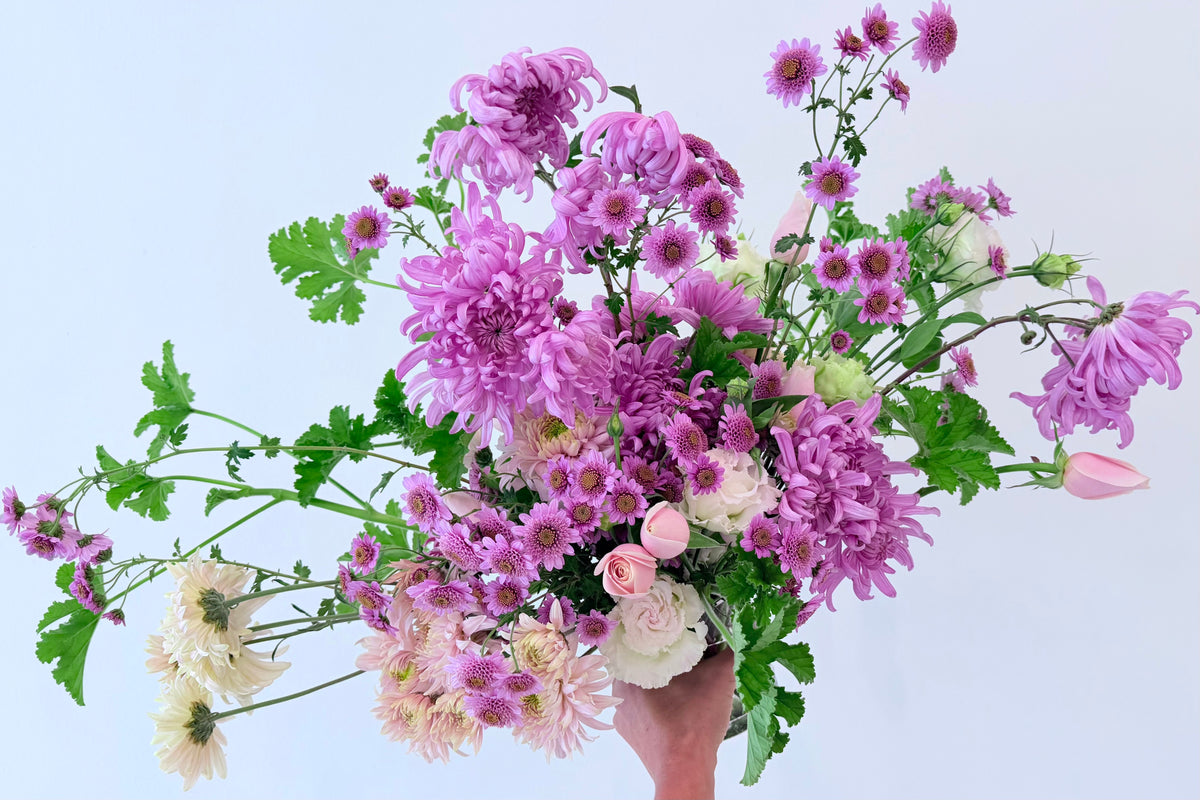MUMS / PER BUNCH