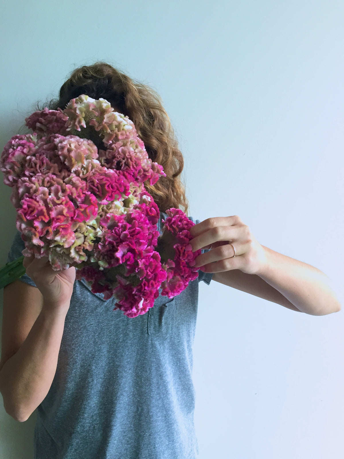 COXCOMB / PER BUNCH
