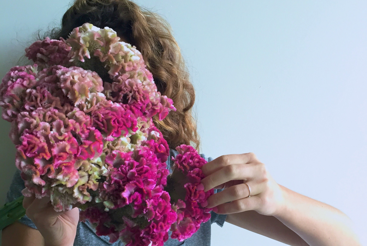 COXCOMB / PER BUNCH