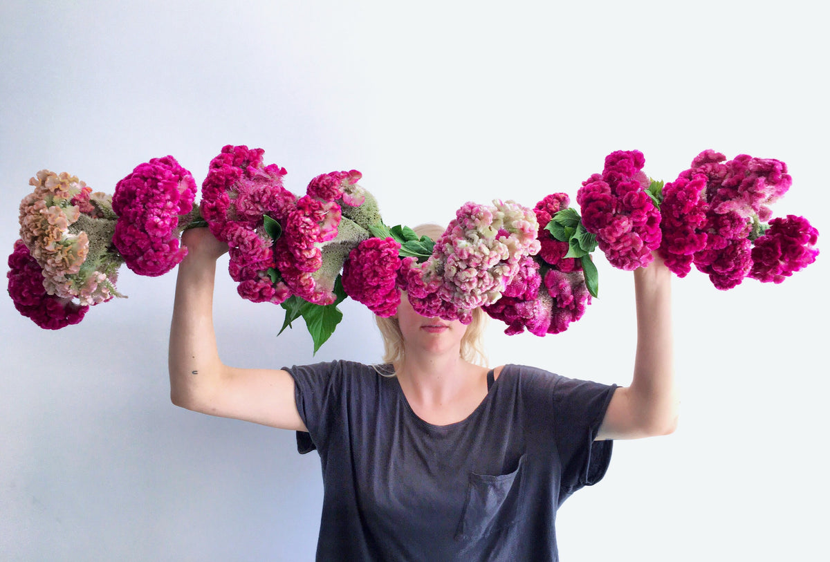COXCOMB / PER BUNCH