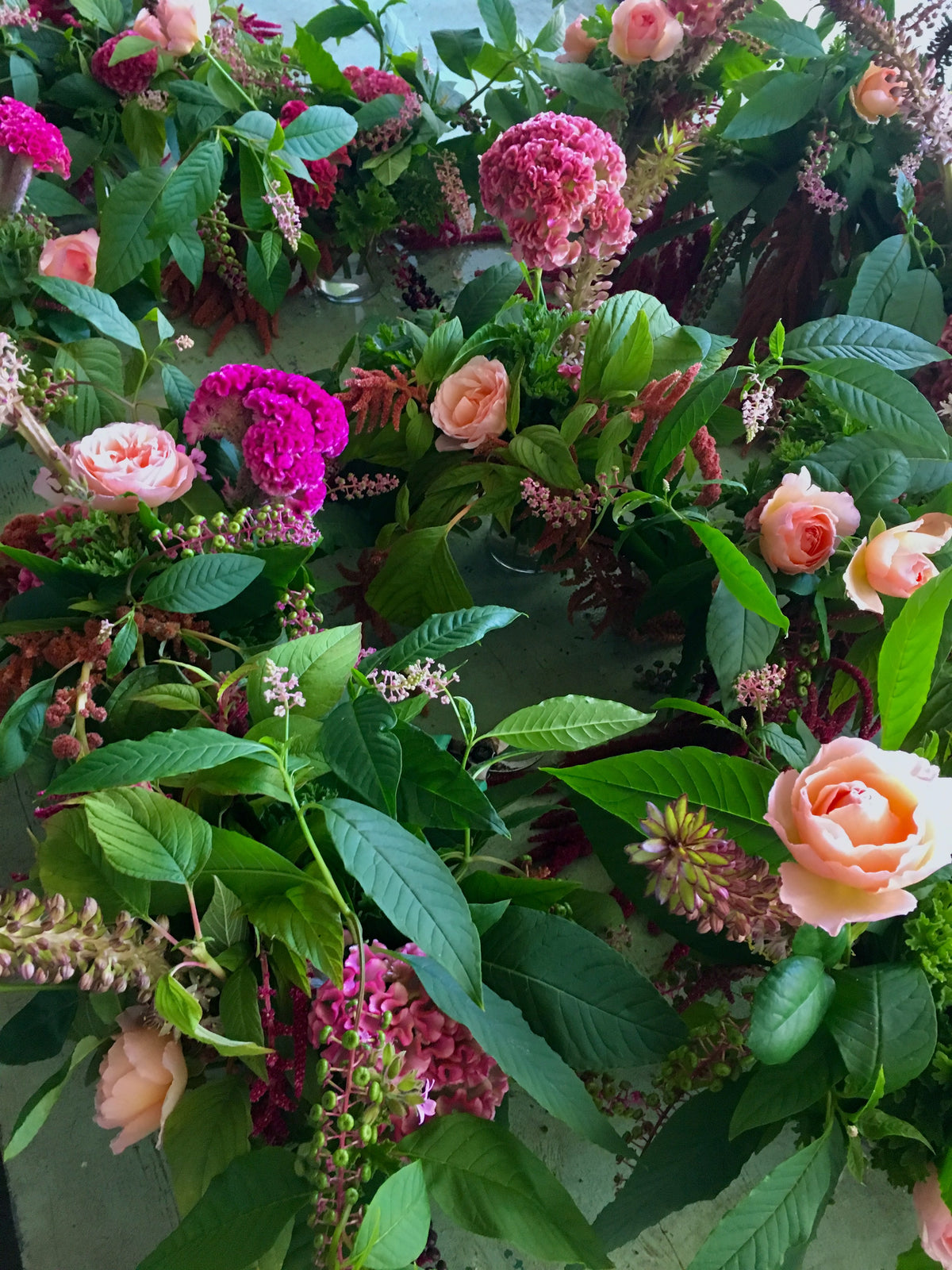 COXCOMB / PER BUNCH