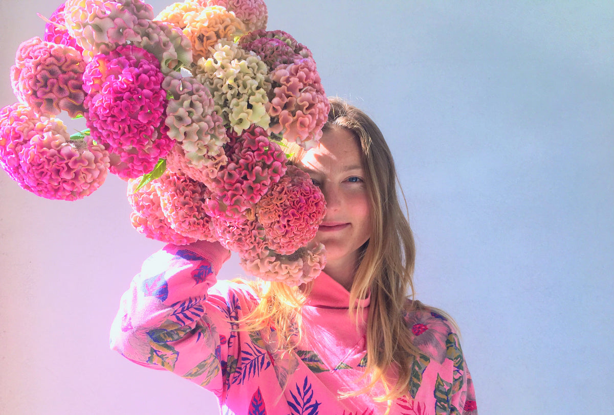 COXCOMB / PER BUNCH