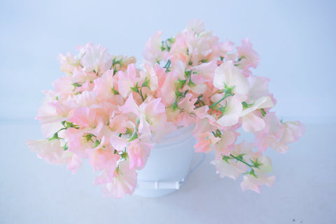 FREESIA / PER BUNCH