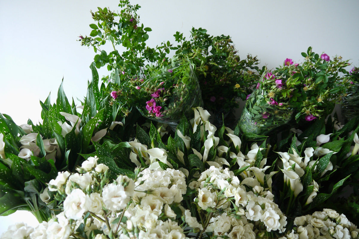 BULK FLOWERS