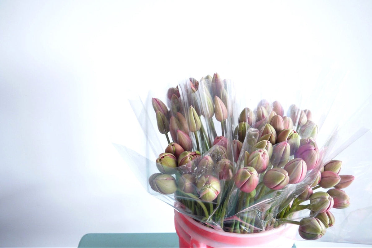 Tulips. Fieldwork-style Flowers | Send Flowers Vancouver WA., Portland, OR., Nationwide. 