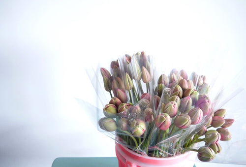 Tulips. Fieldwork-style Flowers | Send Flowers Vancouver WA., Portland, OR., Nationwide. 