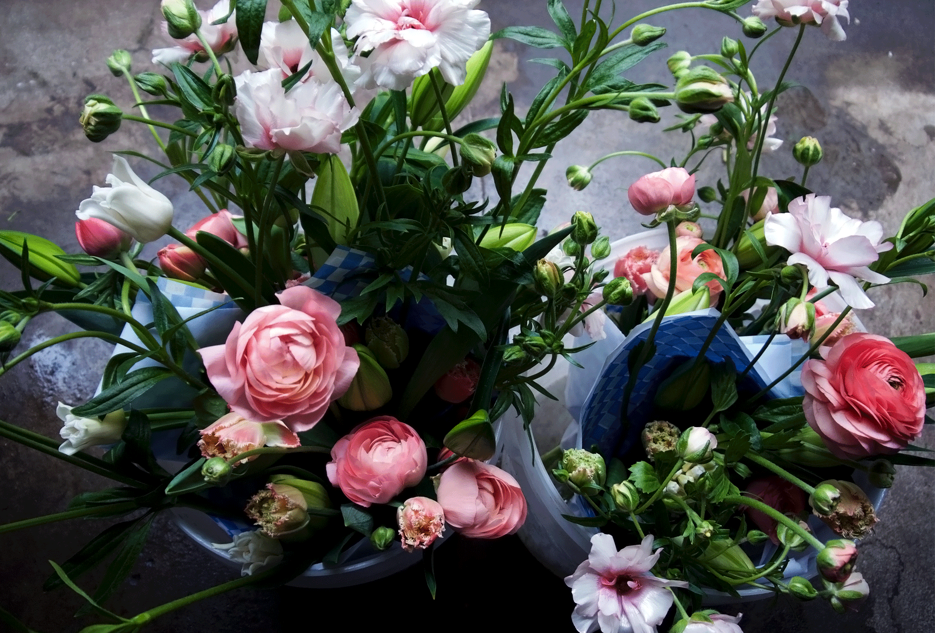 BULK FLOWERS + ONLINE TUTORIAL